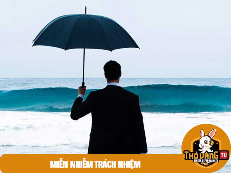 Các điều cần lưu ý về chính sách miễn nhiễm trách nhiệm của Thỏ VangTV