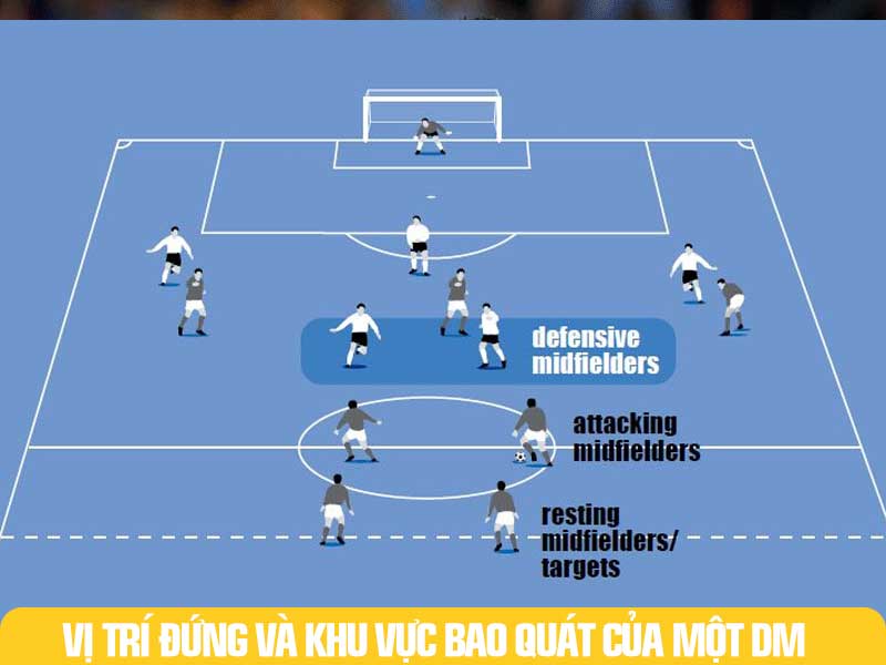 Khu vực, vị trí đứng và vòng bao quát của một DM