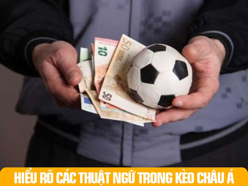 Tại Thỏ Vàng TV đội ngũ chuyên gia phân tích cũng sẽ giải đáp tường tận cho bạn về các Thuật Ngữ trong Kèo Châu Á.