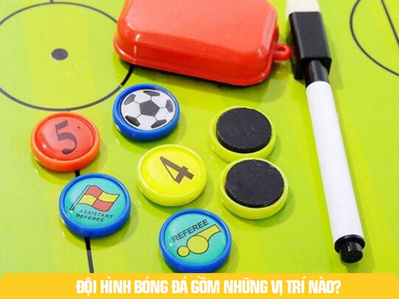 Tìm hiểu 11 vị trí trên sân một cách chuyên sâu và chi tiết nhất.